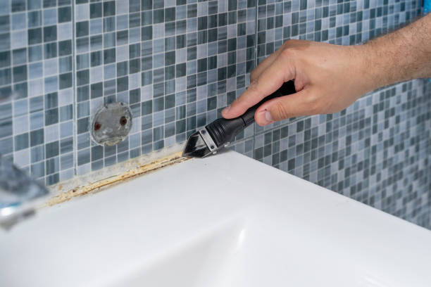 Best Fast Mold Removal  in Double Oak, TX