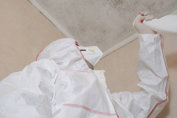 Best Professional Mold Removal  in Double Oak, TX