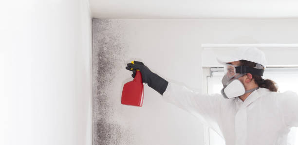 Best Office Mold Removal Services  in Double Oak, TX