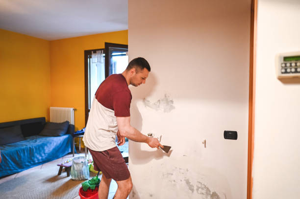 Professional Mold Removal in Double Oak, TX